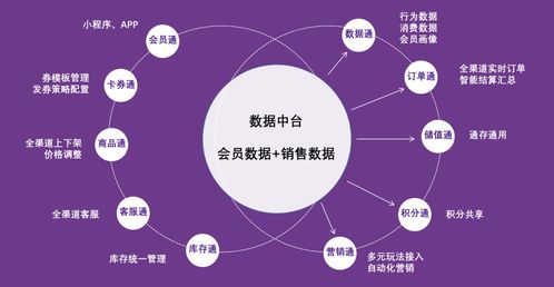 紫日軟件導購通3.0 直連消費者，驅動銷量暴漲的智能銷售解決方案